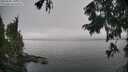 ./images/koeye/fitz-hugh/20250905/fitz-hugh20250905_110012M.jpg