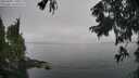 ./images/koeye/fitz-hugh/20250905/fitz-hugh20250905_110509M.jpg
