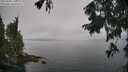 ./images/koeye/fitz-hugh/20250905/fitz-hugh20250905_111012M.jpg