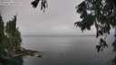 ./images/koeye/fitz-hugh/20250905/fitz-hugh20250905_112510M.jpg