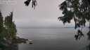 ./images/koeye/fitz-hugh/20250905/fitz-hugh20250905_113012M.jpg