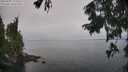 ./images/koeye/fitz-hugh/20250905/fitz-hugh20250905_113511M.jpg