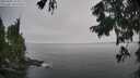 ./images/koeye/fitz-hugh/20250905/fitz-hugh20250905_115010M.jpg