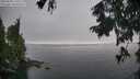 ./images/koeye/fitz-hugh/20250905/fitz-hugh20250905_115509M.jpg