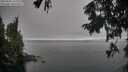 ./images/koeye/fitz-hugh/20250905/fitz-hugh20250905_120012M.jpg