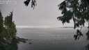 ./images/koeye/fitz-hugh/20250905/fitz-hugh20250905_121511M.jpg