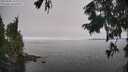 ./images/koeye/fitz-hugh/20250905/fitz-hugh20250905_122011M.jpg