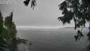 ./images/koeye/fitz-hugh/20250905/fitz-hugh20250905_122510M.jpg