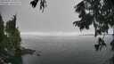 ./images/koeye/fitz-hugh/20250905/fitz-hugh20250905_123012M.jpg