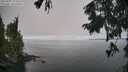 ./images/koeye/fitz-hugh/20250905/fitz-hugh20250905_123509M.jpg