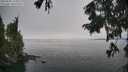 ./images/koeye/fitz-hugh/20250905/fitz-hugh20250905_124011M.jpg