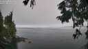 ./images/koeye/fitz-hugh/20250905/fitz-hugh20250905_124511M.jpg
