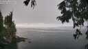 ./images/koeye/fitz-hugh/20250905/fitz-hugh20250905_125510M.jpg