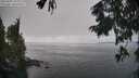 ./images/koeye/fitz-hugh/20250905/fitz-hugh20250905_130010M.jpg