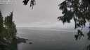 ./images/koeye/fitz-hugh/20250905/fitz-hugh20250905_131009M.jpg