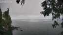 ./images/koeye/fitz-hugh/20250905/fitz-hugh20250905_131511M.jpg