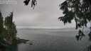 ./images/koeye/fitz-hugh/20250905/fitz-hugh20250905_132511M.jpg