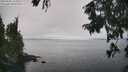 ./images/koeye/fitz-hugh/20250905/fitz-hugh20250905_134011M.jpg
