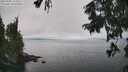 ./images/koeye/fitz-hugh/20250905/fitz-hugh20250905_134511M.jpg