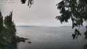 ./images/koeye/fitz-hugh/20250905/fitz-hugh20250905_135510M.jpg