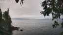 ./images/koeye/fitz-hugh/20250905/fitz-hugh20250905_140509M.jpg
