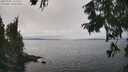 ./images/koeye/fitz-hugh/20250905/fitz-hugh20250905_141511M.jpg