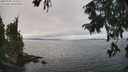 ./images/koeye/fitz-hugh/20250905/fitz-hugh20250905_142010M.jpg