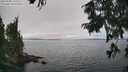 ./images/koeye/fitz-hugh/20250905/fitz-hugh20250905_142510M.jpg