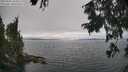 ./images/koeye/fitz-hugh/20250905/fitz-hugh20250905_143510M.jpg
