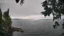 ./images/koeye/fitz-hugh/20250905/fitz-hugh20250905_144010M.jpg