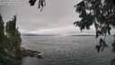 ./images/koeye/fitz-hugh/20250905/fitz-hugh20250905_145011M.jpg