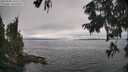 ./images/koeye/fitz-hugh/20250905/fitz-hugh20250905_145509M.jpg
