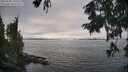 ./images/koeye/fitz-hugh/20250905/fitz-hugh20250905_150510M.jpg