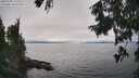 ./images/koeye/fitz-hugh/20250905/fitz-hugh20250905_151011M.jpg
