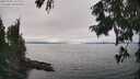 ./images/koeye/fitz-hugh/20250905/fitz-hugh20250905_152011M.jpg