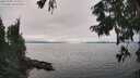 ./images/koeye/fitz-hugh/20250905/fitz-hugh20250905_152509M.jpg