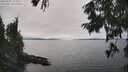 ./images/koeye/fitz-hugh/20250905/fitz-hugh20250905_153509M.jpg