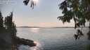 ./images/koeye/fitz-hugh/20250905/fitz-hugh20250905_162010M.jpg