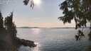 ./images/koeye/fitz-hugh/20250905/fitz-hugh20250905_162510M.jpg
