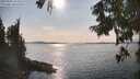 ./images/koeye/fitz-hugh/20250905/fitz-hugh20250905_163511M.jpg