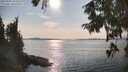 ./images/koeye/fitz-hugh/20250905/fitz-hugh20250905_164011M.jpg