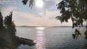 ./images/koeye/fitz-hugh/20250905/fitz-hugh20250905_165510M.jpg