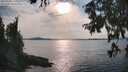 ./images/koeye/fitz-hugh/20250905/fitz-hugh20250905_171011M.jpg
