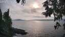 ./images/koeye/fitz-hugh/20250905/fitz-hugh20250905_174511M.jpg