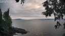 ./images/koeye/fitz-hugh/20250905/fitz-hugh20250905_175011M.jpg