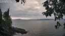 ./images/koeye/fitz-hugh/20250905/fitz-hugh20250905_175509M.jpg