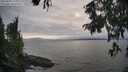 ./images/koeye/fitz-hugh/20250905/fitz-hugh20250905_180013M.jpg