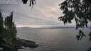 ./images/koeye/fitz-hugh/20250905/fitz-hugh20250905_180510M.jpg