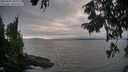 ./images/koeye/fitz-hugh/20250905/fitz-hugh20250905_181011M.jpg