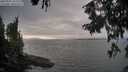./images/koeye/fitz-hugh/20250905/fitz-hugh20250905_181512M.jpg